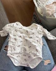 Body renard 3M 