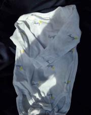 Body 4