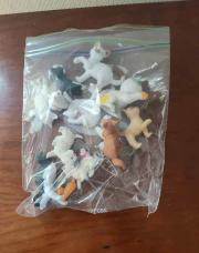 Animaux sachets chats