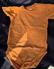 Body 1