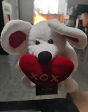 Chien cœur rouge