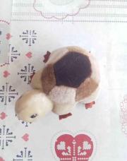 Peluche tortue 
