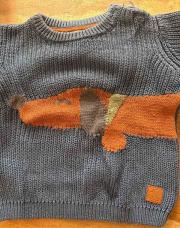 Pull chien 9M