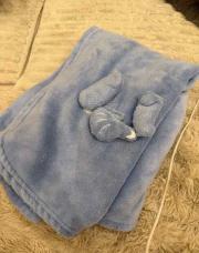 Couverture bleu 