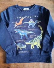 Pull Dinosaures 7 ans