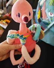 Flamant rose Lilliputiens 