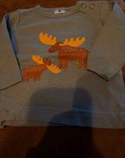 T shirt longue manche cerf vert 