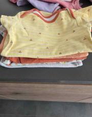Lot de 5 bodys manches courtes 