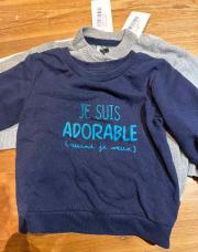 Pull adorable Pat Ripaton 12 mois 