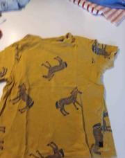 Tshirt MC 5A Okaidi zebre