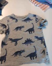 T-shirt MC 5A Tough team Dino gris
