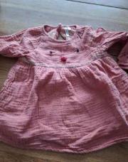 Ribe rose TAO 12m