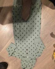 Pyjama cactus 
