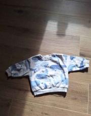 Pull baleine Obaibi 12M