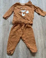 Ensemble renard 3 mois 