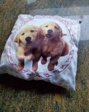 Coussin chien 