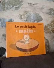 Livre Le petit lapin malin