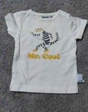 tee shirt 1 mois Mr cool tigre
