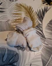 Lot de chaussettes 