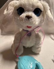 Chien et sa laisse complet