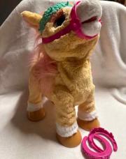 Poney 