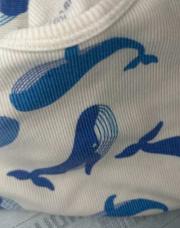 Pyjama baleine 18 mois 