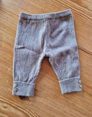 Panatlon zara t 62 