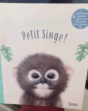 Livre bonne nuit petit singe