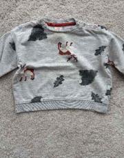 Pull Hema chasse 12 mois