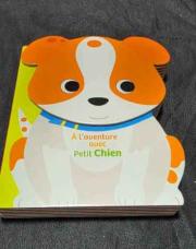 Livre (A l aventure avec petit chien)