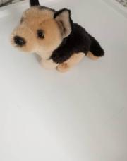 Peluche chien