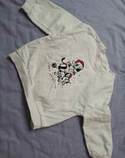 RR pull disney 24M