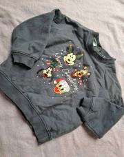 RR pull disney 24M