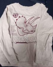 Tshirt manches longues beige dino - 6A