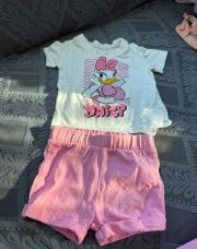 Ensemble Daisy 