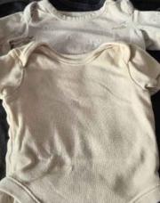 Lot 3 body 50/56
