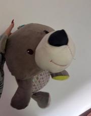 Peluche ours 