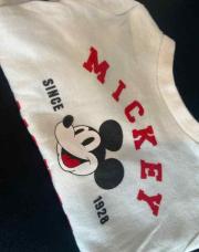 Sweat Mickey 6 M